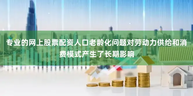 专业的网上股票配资人口老龄化问题对劳动力供给和消费模式产生了长期影响
