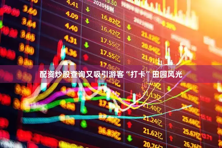 配资炒股查询又吸引游客“打卡”田园风光
