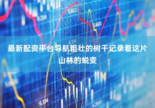 最新配资平台导航粗壮的树干记录着这片山林的蜕变